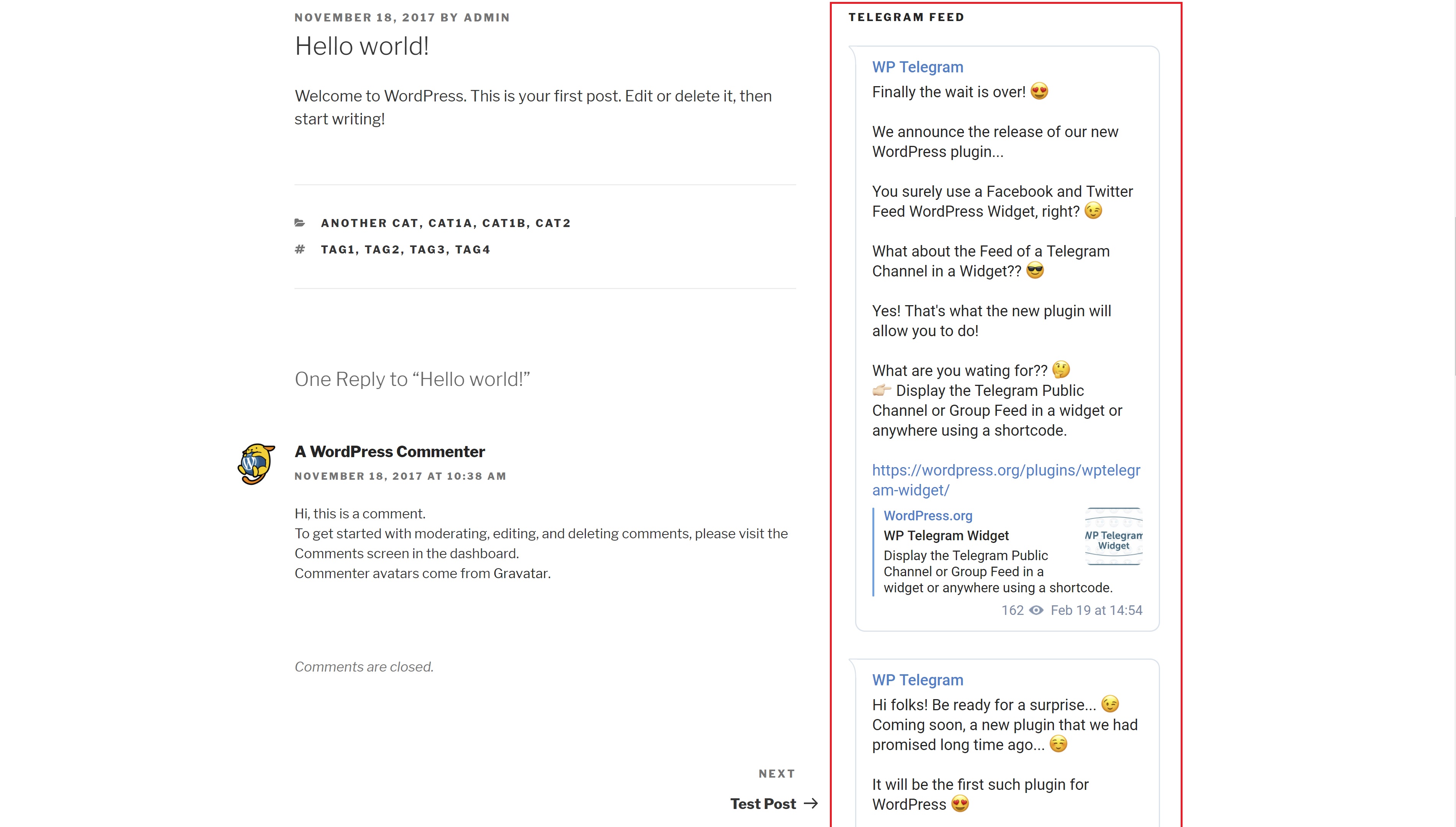 Widget View (front-end)