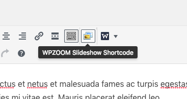 Slideshow shortcode button