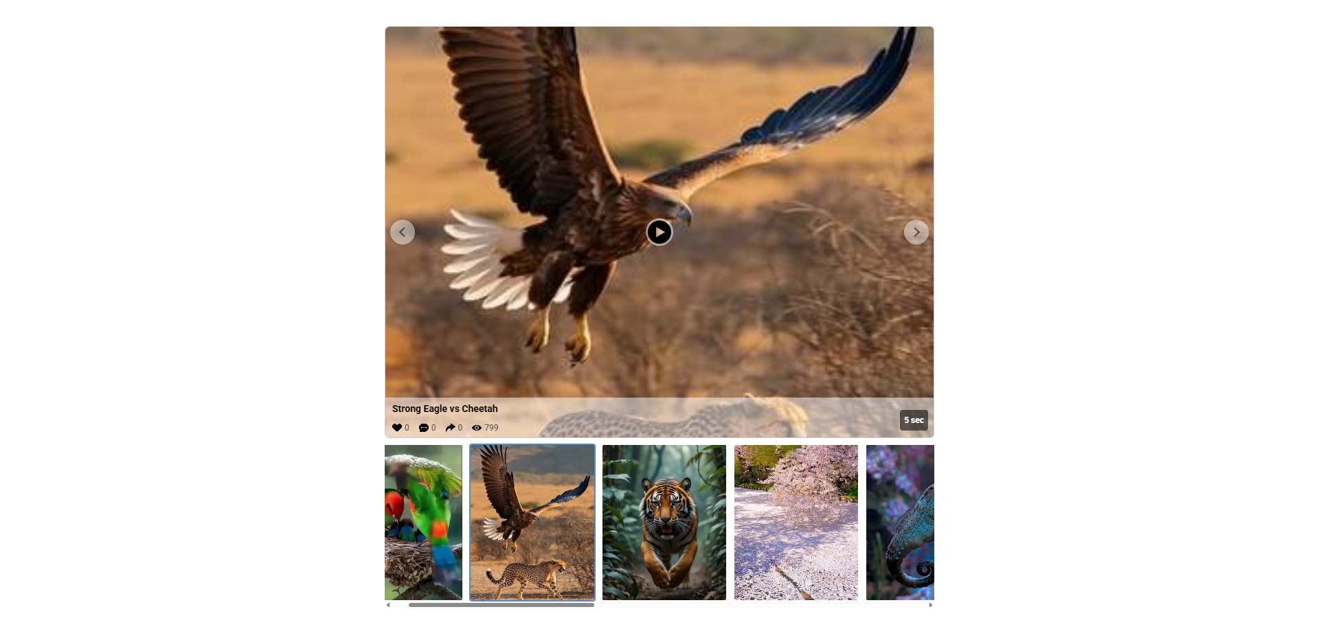 Slideshow view