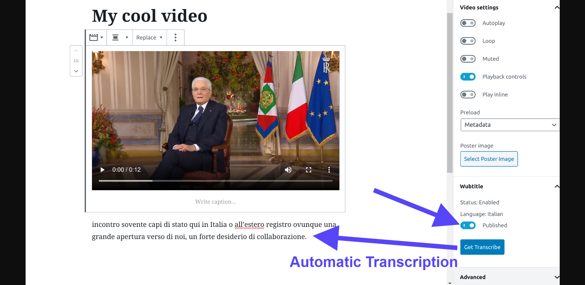 You can edit the automatic transcription, it is a simple text.