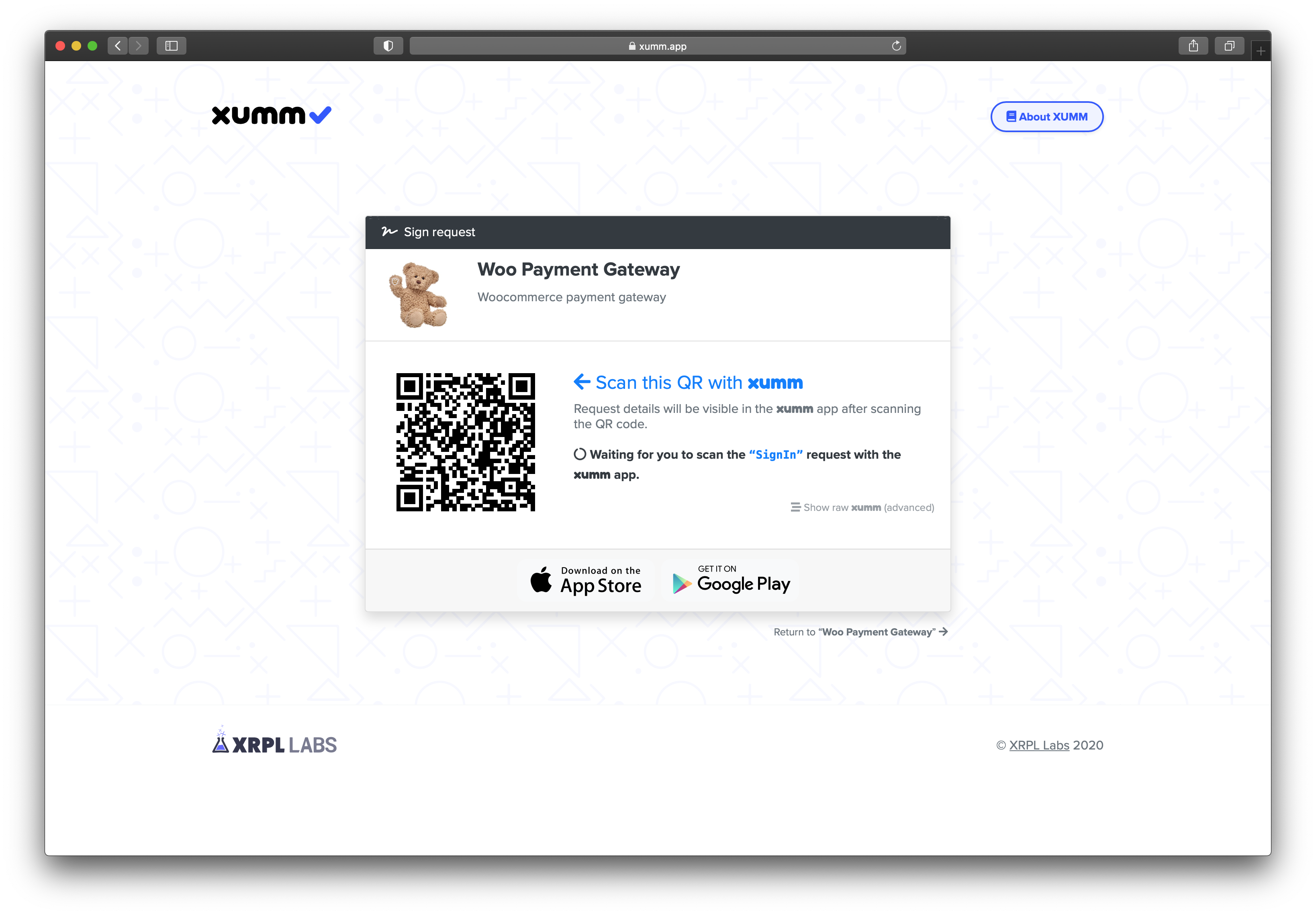 What the user will see when submitting the payment.