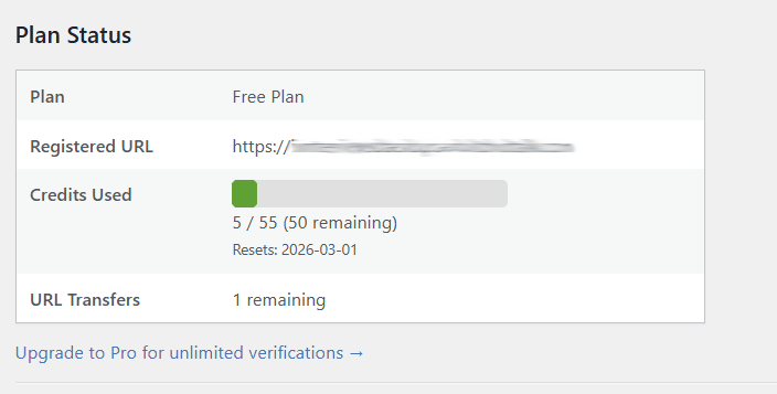 Plan status showing credit usage and remaining balance