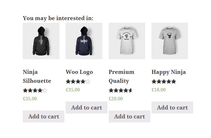 Recently viewed products in single product page.