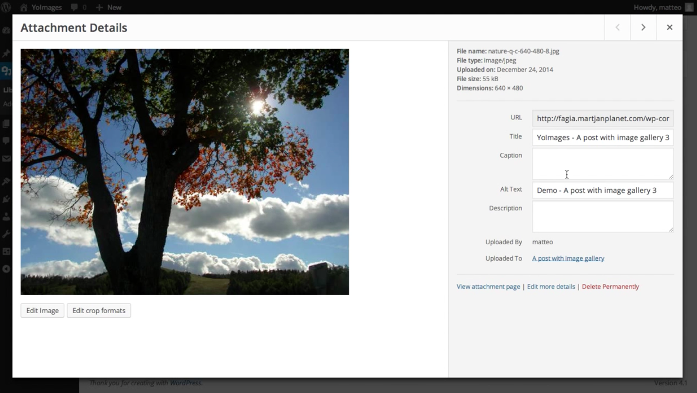 custom metadata values even on gallery creation