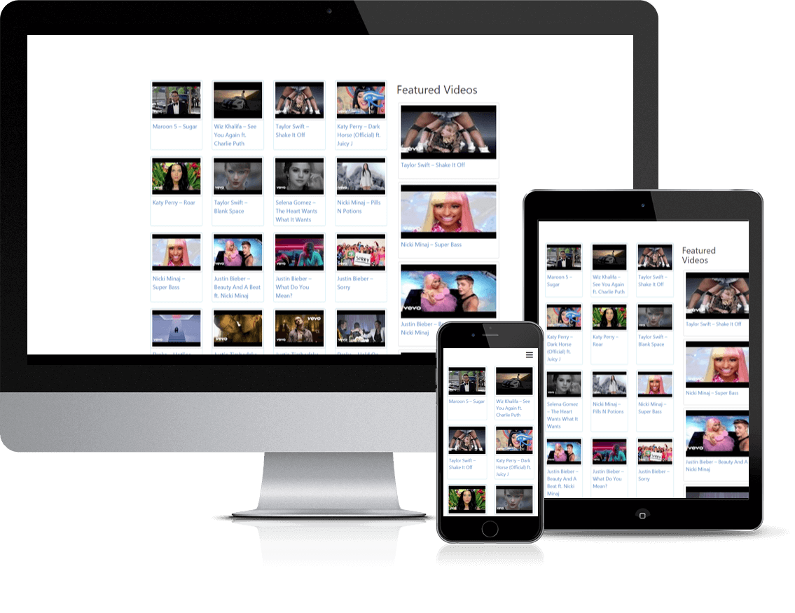 Displays a 4 column responsive video grid gallery created automatically during plugin setup