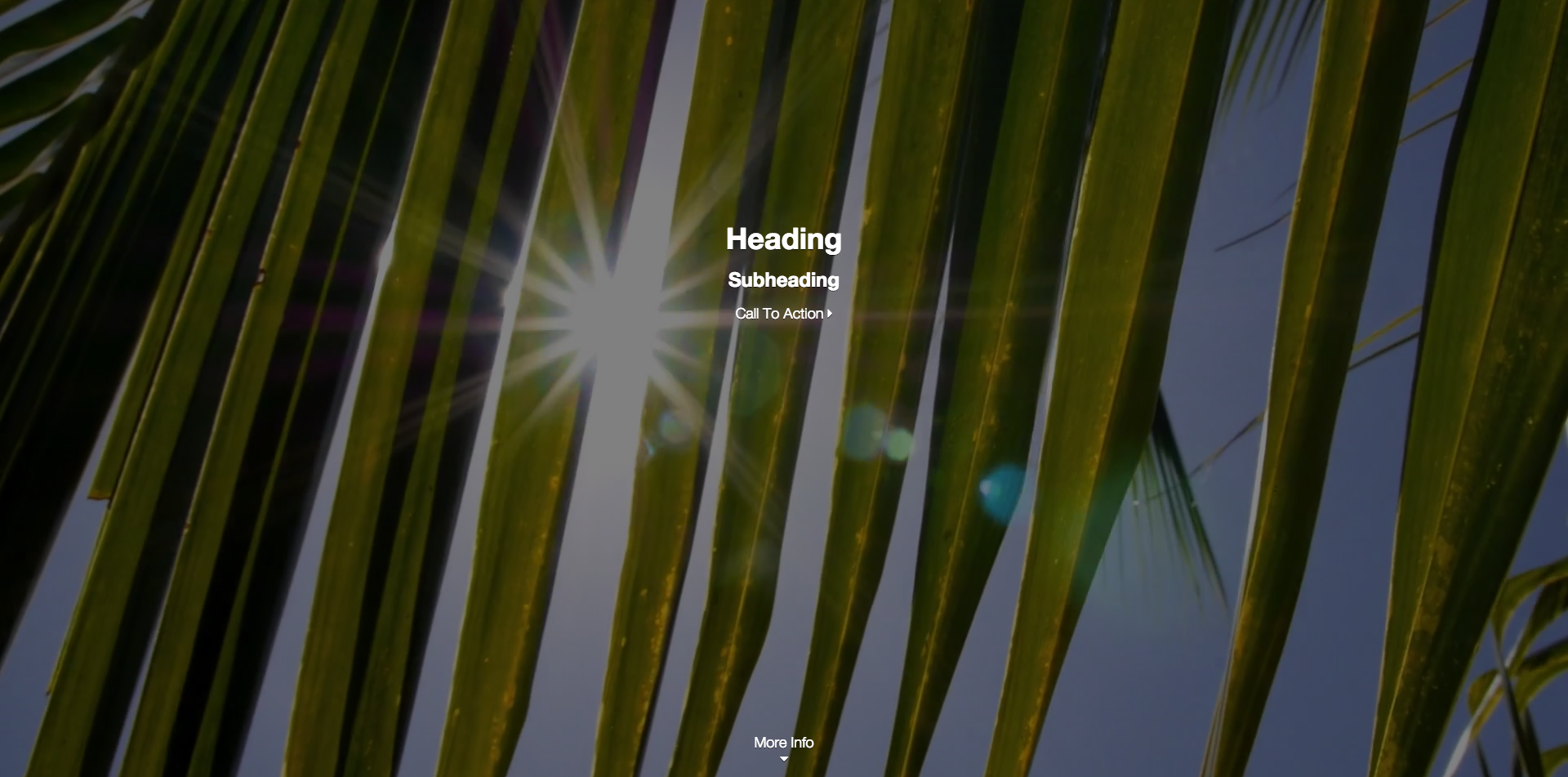 A sample website with Zendy Lede, viewed in browser