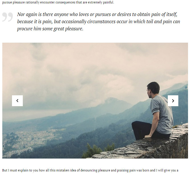 ZM Gallery plugin slider in a post